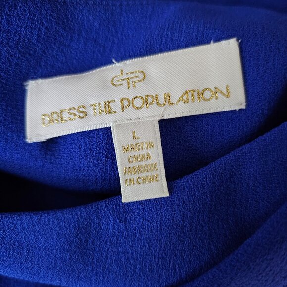 Rory Fringe Cocktail Dress - Picture 11 of 12